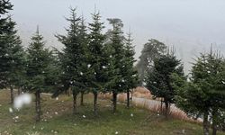 Bolu'nun yüksek kesimlerine kar yağdı