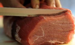 E. Coli bakterisi taşıyan et ürünlerinin idrar yolu enfeksiyonlarına neden olabileceği belirtildi