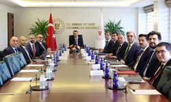 Enerji Bakanı Bayraktar, BAE ile 1 milyar dolarlık yatırımda son aşamaya geldiklerini bildirdi