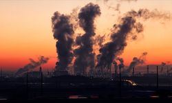 Fosil yakıtların küresel enerji tüketimindeki liderliği 2050'ye kadar sürecek