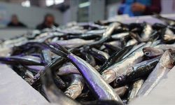 Hamsi yılın 9 ayında 19 ülkede alıcı buldu
