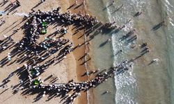 Muğla'da tedavileri tamamlanan deniz kaplumbağaları denizle buluştu