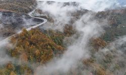 Ordu'da etkili olan sis sonbahar renkleriyle güzel görüntü oluşturdu