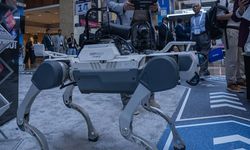 Robot köpekler yapay zekayla güçlenerek yeni görevler üstlenecek