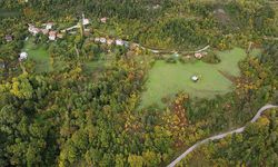 Sinop'ta sonbahar güzelliği seyirlik manzaralar sunuyor