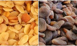 Türkiye'den 9 ayda 217 milyon dolarlık kuru kayısı ihraç edildi