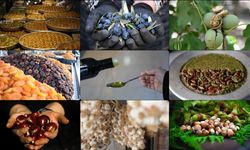 AB tescili, Türk ürünlerinin küresel pazarda görünürlüğünü artırıyor