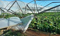 Antalya'nın Manavgat ilçesinde hortum nedeniyle 4 sera hasar gördü