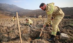Bursa'da 3 milyon 250 bin fidan toprakla buluşacak