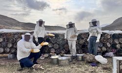 Çemikare Yaylası'nda kış öncesi yılın son kara kovan balı hasadı yapılıyor