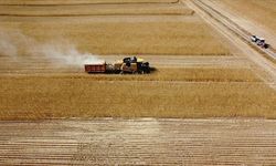 Çiftçilere 1,5 milyar liralık tarımsal destekleme ödemesi bugün yapılacak