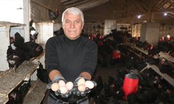 Çocukluk hayalini gerçekleştirmek için memleketine tavuk çiftliği kurdu