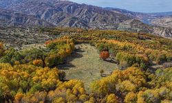 Diyarbakır'ın Kulp ilçesindeki sonbahar renkleri dronla görüntülendi