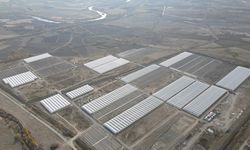 Doğu Anadolu'nun en büyük toplu sera alanı Erzincan'da kurulacak