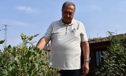 Emekli mühendis 156 dönümlük atıl araziyi fidanlarla yeşertti