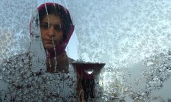 Erzurum, Ardahan ve Kars'ta soğuk hava ile sis etkili oluyor