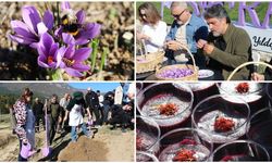 Karabük'te 'Safran İmecesi' etkinliği düzenlendi