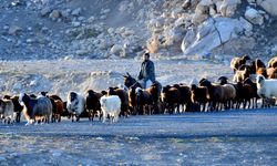 Kars yaylalarındaki göçerlerin dönüş yolculuğu devam ediyor