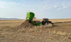 Kırşehir'de verimi artırmak amacıyla tarlalardaki taşlar toplanıyor