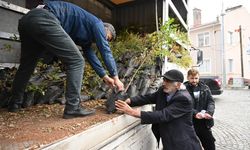 Konya'da çiftçiler kuraklığa karşı sumak üretimine özendiriliyor