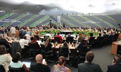 Küresel siyasi ortam iklim finansmanını zorlaştırarak eylemi yavaşlatıyor