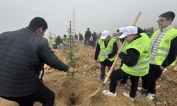 Malatya'da 10 bin 444 fidan toprakla buluşturuldu