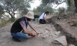 Suriye'nin Lazkiye kentinde, 'Ugarit uygarlığının' izleri gün yüzüne çıkarılıyor