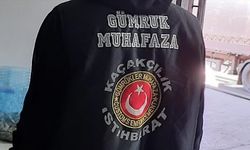 Türkiye, gümrük işlemlerini yapay zeka desteğiyle hızlandıracak