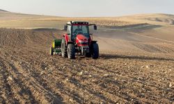 Yozgat'ta kuraklık nedeniyle buğday ekimi kasım ayına sarktı