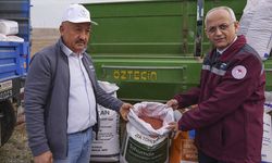 Çankırı'da çiftçiler 800 hektarda kuraklığa dayanıklı sertifikalı tohum deniyor