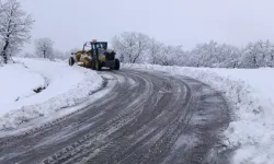 Diyarbakır'da kırsal mahalle yolları ulaşıma açılıyor