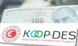 KOOP-DES Yönetmeliği'nde değişiklik Resmi Gazete'de
