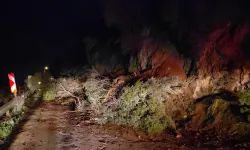 Mudanya-Kurşunlu yolunda geceyarısı heyelan! Yol ulaşıma kapandı