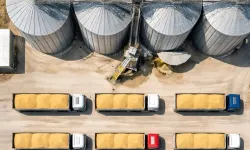 TMO'dan buğday satışı... 1,2 milyon ton stok günlük açık artırmada