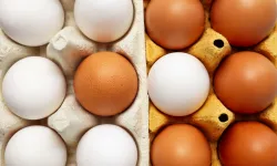 Yumurtanın doğrudan arzında limit artışı... Resmi Gazete'de yayımlandı