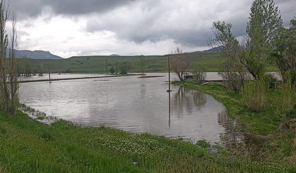 Erzincan’da sağanak sonrası bazı tarım arazileri su altında kaldı