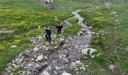 Jandarma ekipleri endemik bitkilerin korunması için görevde