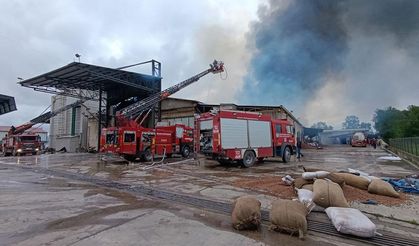 Sakarya'da fındık kırım fabrikasında çıkan yangına müdahale ediliyor