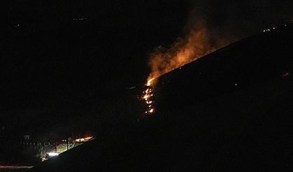 Eymir Gölü yakınlarındaki ormanlık alanı yakmaya çalışan şüpheli tutuklandı