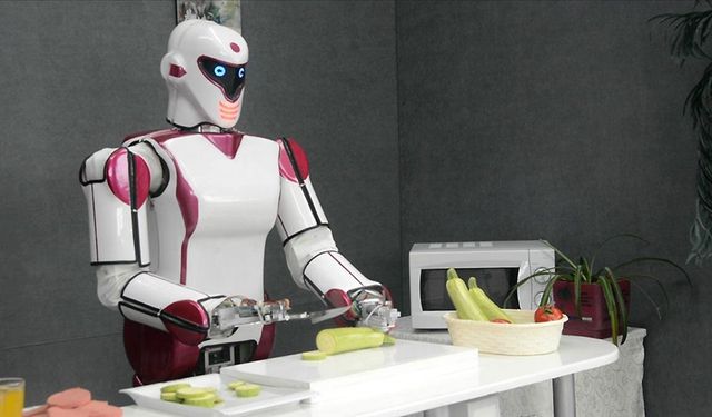 İnsansı robot pazarında 10 yılda yaklaşık 5 kat büyüme öngörülüyor