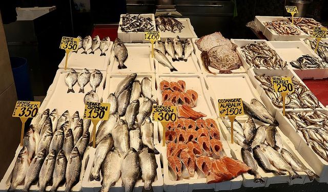Trabzon'da mezgit ve istavrit kilogramı 250 liradan satılıyor