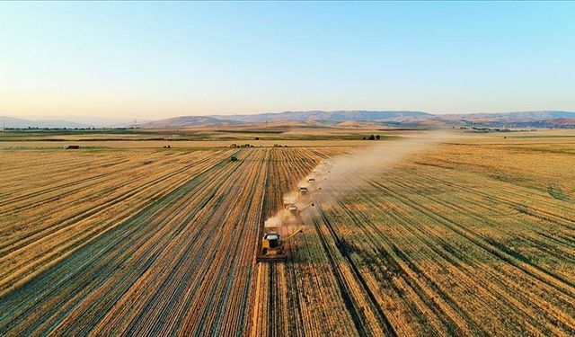 4. Tarım Orman Şurası kararları yarın açıklanacak