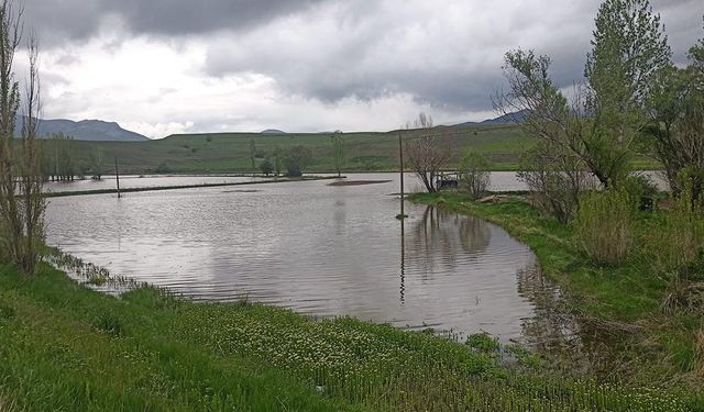 Erzincan’da sağanak sonrası bazı tarım arazileri su altında kaldı