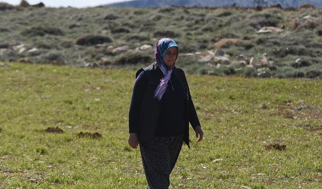 Eşinin vefatının ardından tek başına çiftçilik yapan kadın, eğitimini de aksatmıyor