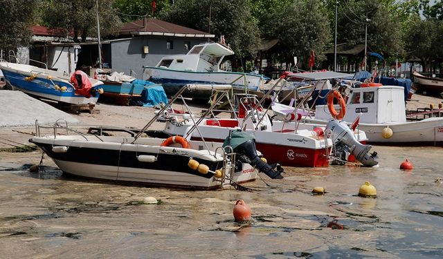 İzmit Körfezi'nde oluşan köpüksü tabakanın temizlenmesi için çalışma başlatıldı