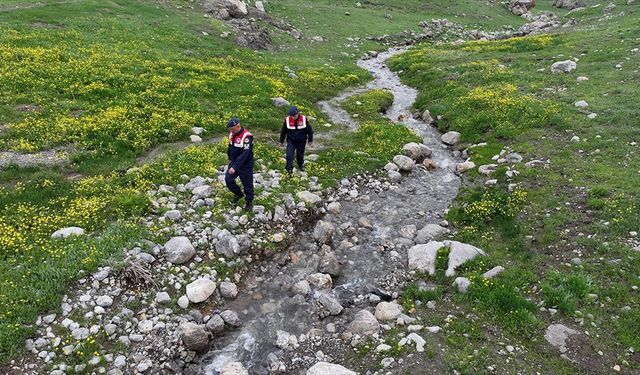 Jandarma ekipleri endemik bitkilerin korunması için görevde