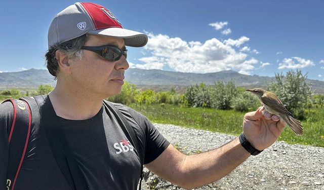 Kıtalararası göçen 28 gram ağırlığındaki kuş 1 gramlık cihazla takip edildi