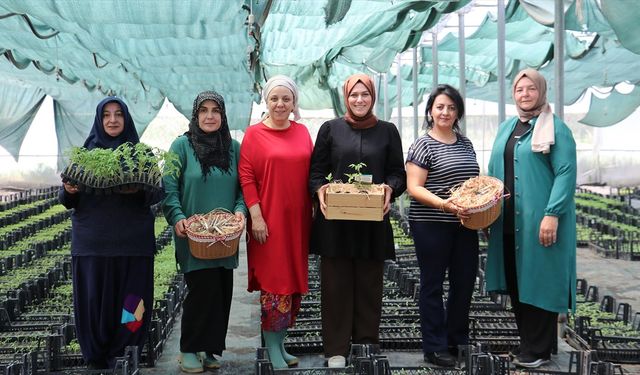 Kocaeli'de girişimci kadınlar, ata tohumundan ürettikleri fidelerle sürdürülebilir tarıma katkı sağlıyor