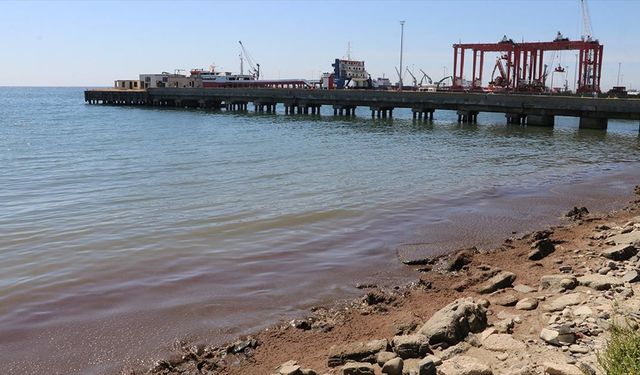Tekirdağ'da kuvvetli rüzgar nedeniyle sahilin bir kısmına kırmızı yosun birikti