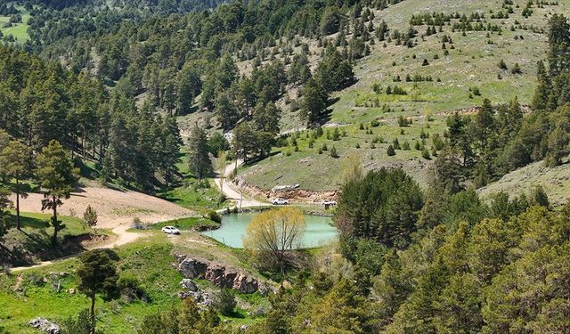 Yozgat'ta 1800 rakımdaki Çerçialan Göleti doğaseverleri ağırlıyor